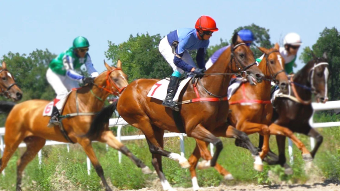 club99 horse bet games